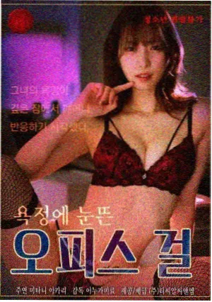 韩剧首尔夜行录海报